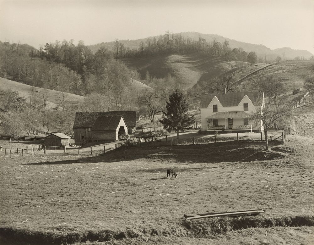 Farm Homestead, Virginia or North Carolina by Marion Post Wolcott
