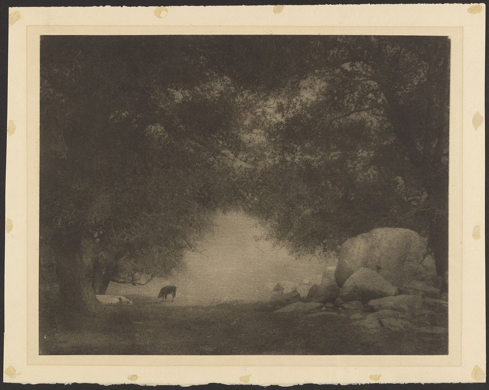 Pastoral Landscape with Cow by Arthur F Kales