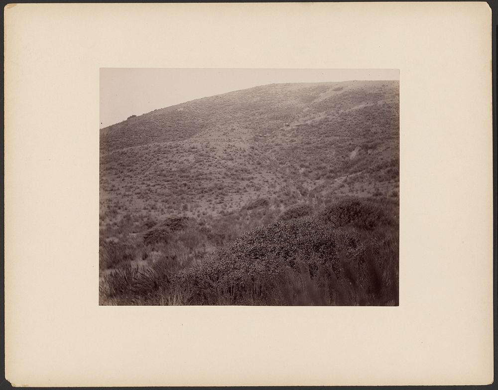 Hillside by George Davidson, J J Gilbert and Carleton Watkins