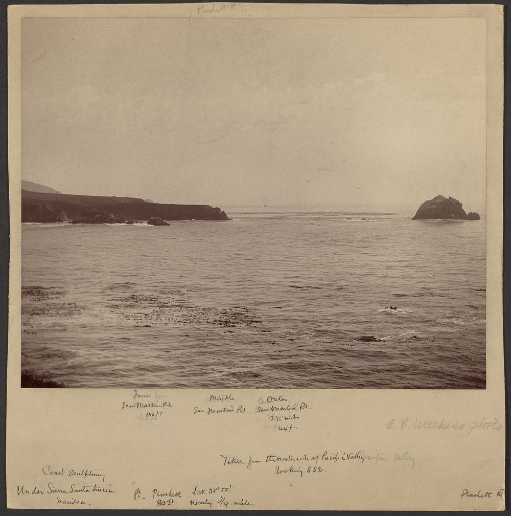 Taken from the North Side of Pacific Valley Looking SSE by George Davidson, J J Gilbert and Carleton Watkins