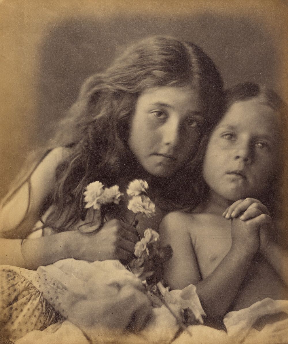 The Red and White Roses by Julia Margaret Cameron
