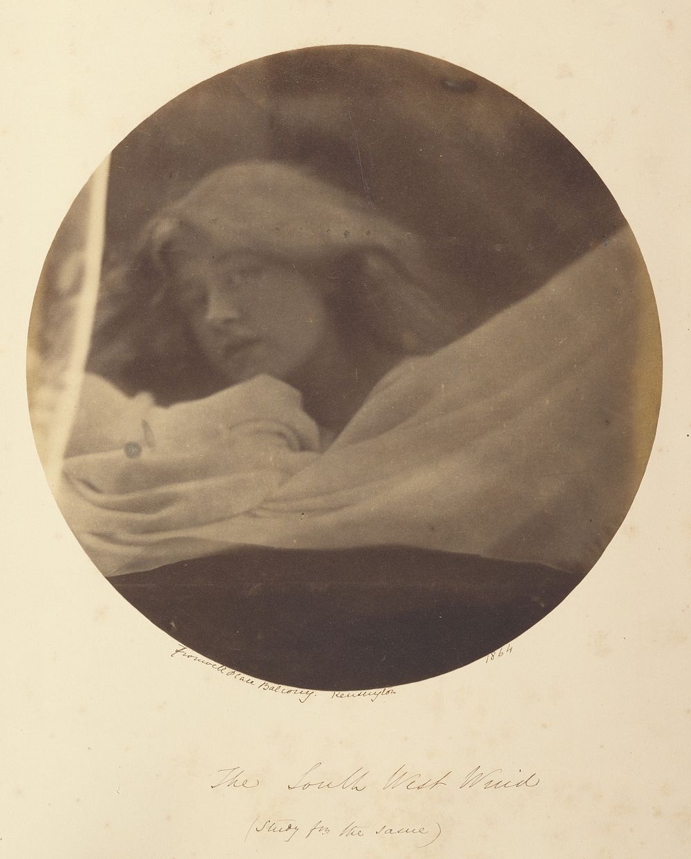 The South West Wind by Julia Margaret Cameron
