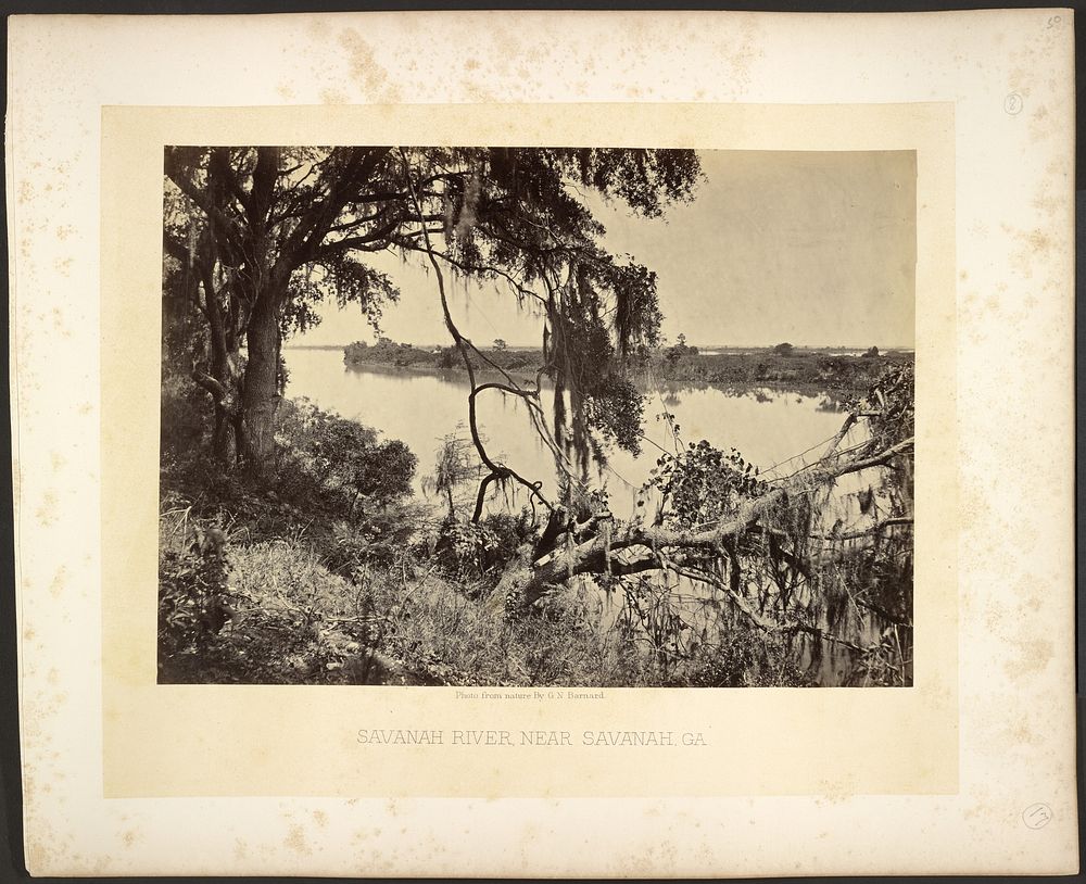 Savannah River, Near Savannah Georgia by George N Barnard