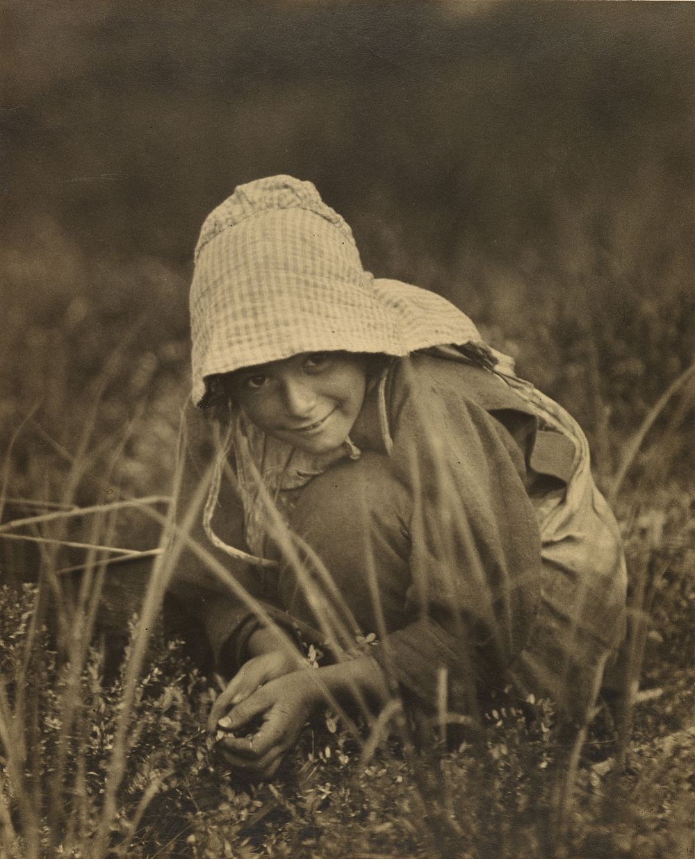 Cranberry Picker, New Jersey by Lewis W Hine