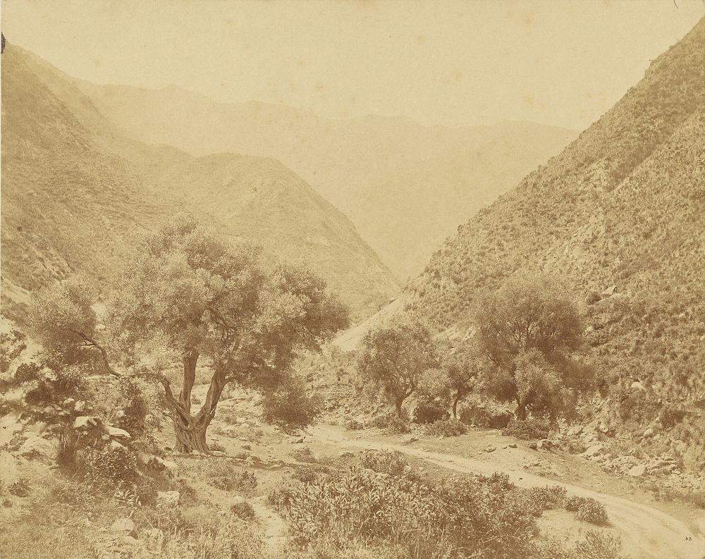 Vallée de l'Oued-el-Kabir, Algerie by Charles Marville