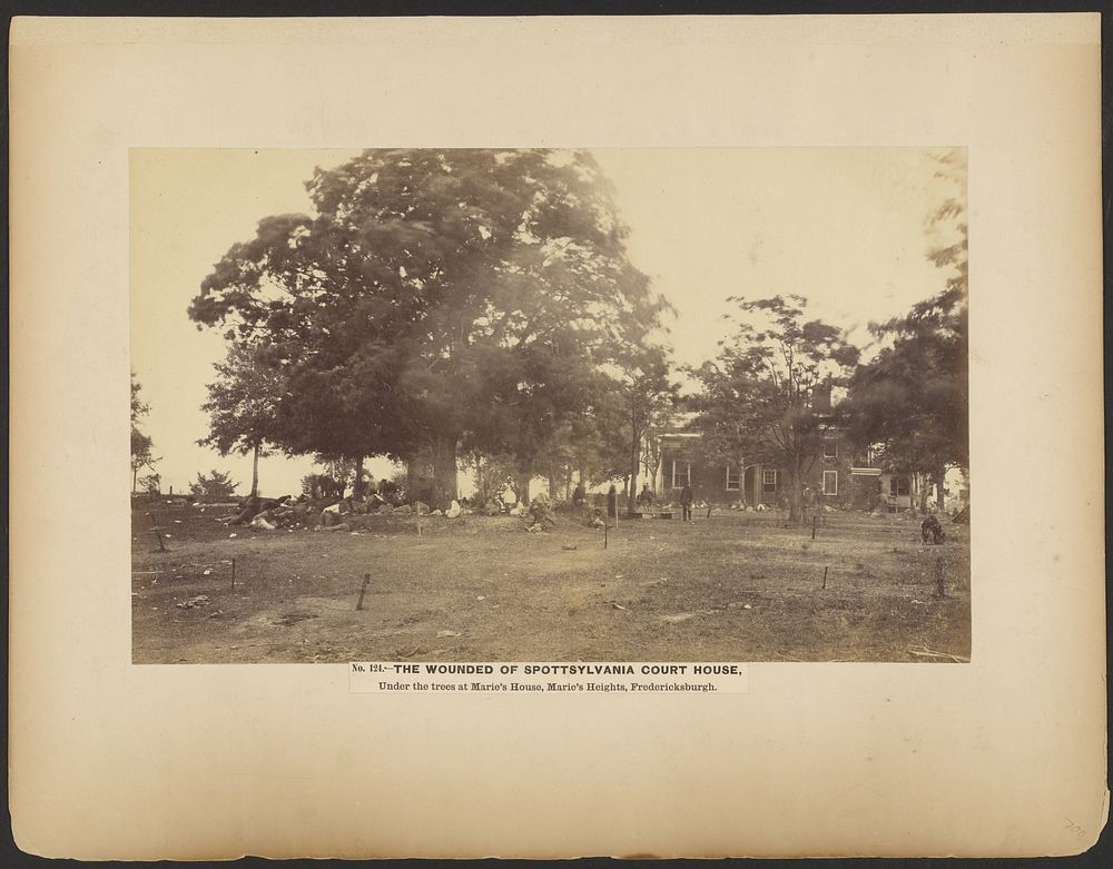 No. 124. Wounded of Spotsylvania Court House, Under the trees at Marie's House, Marie's Heights, Fredericksberg. [May 1864].…