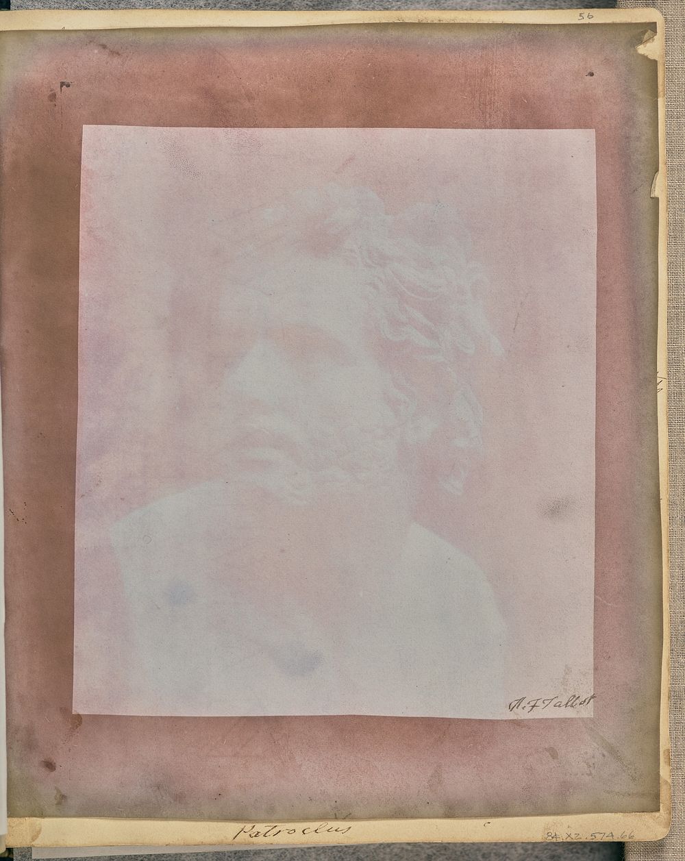 Bust of Patroclus. by William Henry Fox Talbot