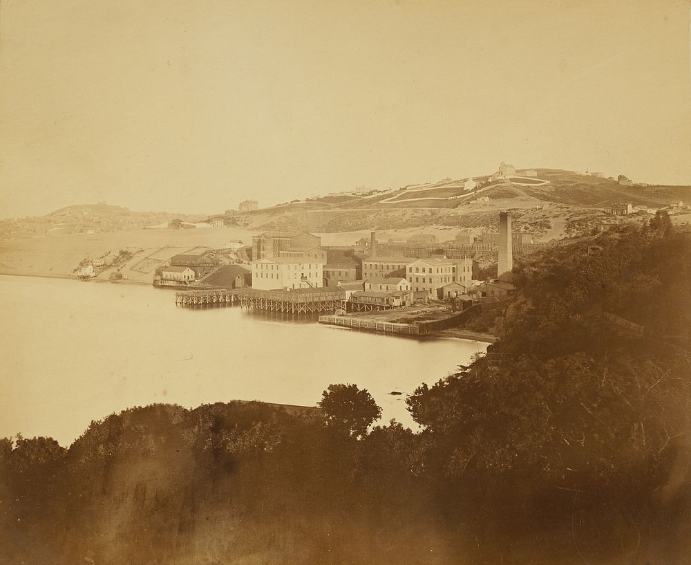 Woolen Mill, San Francisco by Carleton Watkins