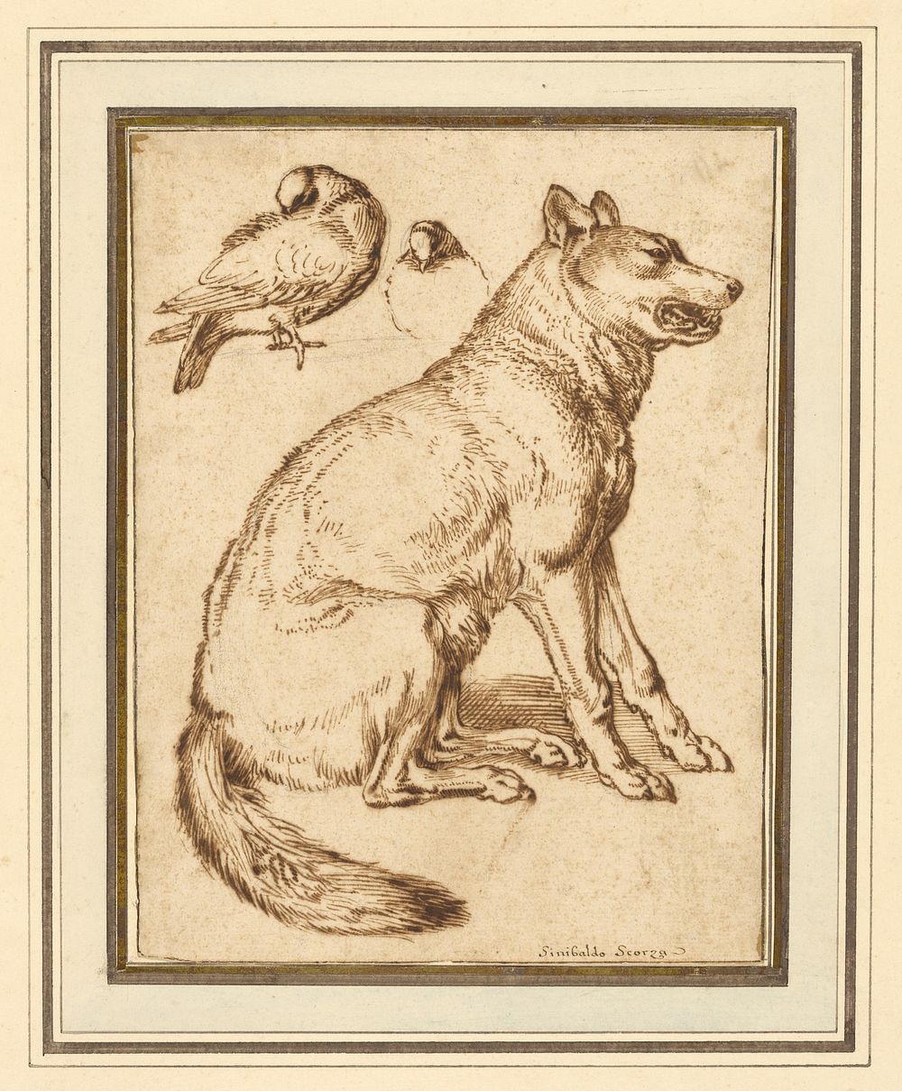 A Wolf and Two Doves by Sinibaldo Scorza