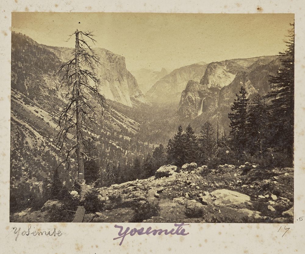 The Yosemite Valley, from the Mariposa Trail, Yosemite Valley, Mariposa County, CAL. (No. 1138) by Carleton Watkins