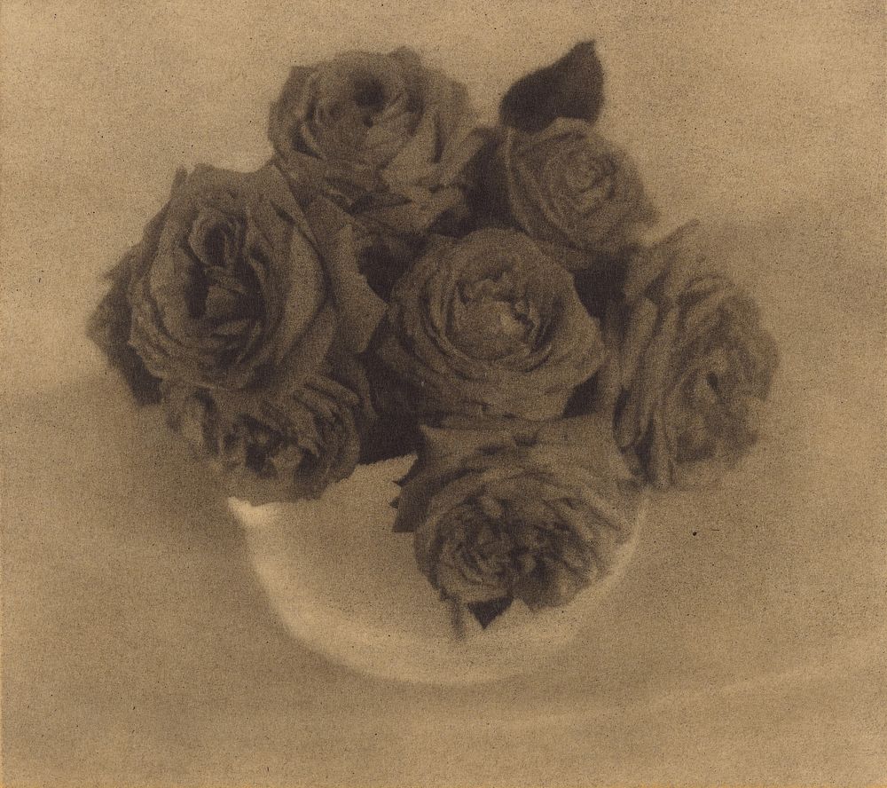 Roses in a Crystal Vase by Heinrich Kühn