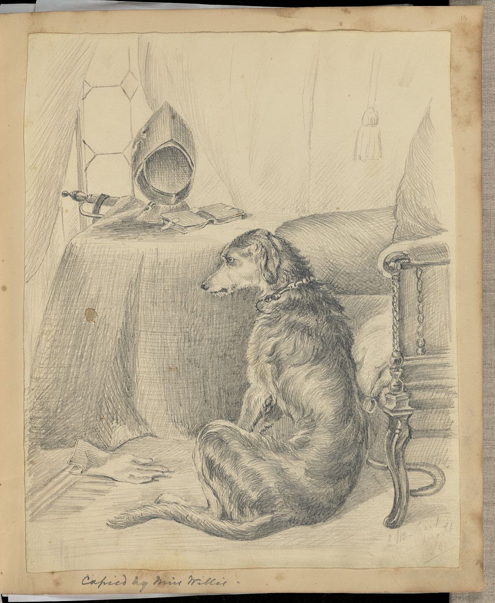 sketch of a dog by Eliza Willis