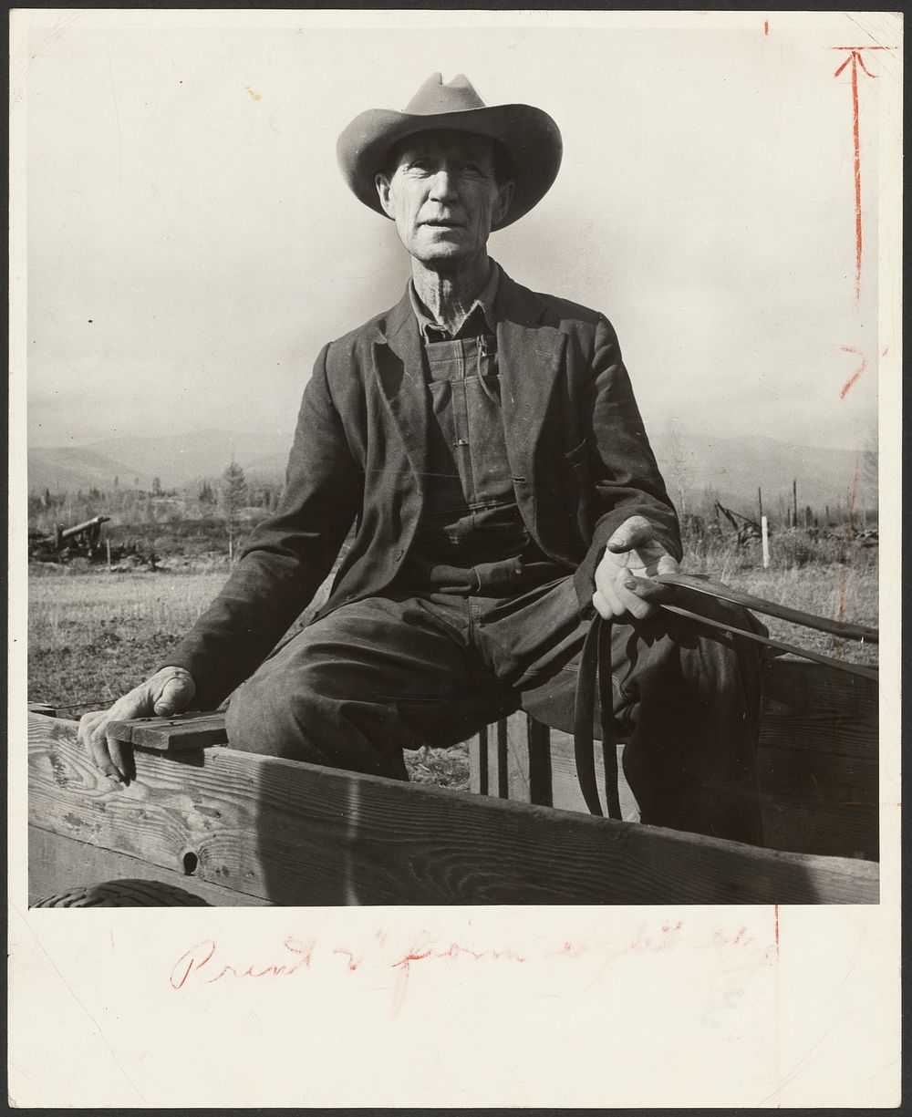 Was Nebraska farmer, now developing land in cut-over area, Bonner County, Idaho by Dorothea Lange