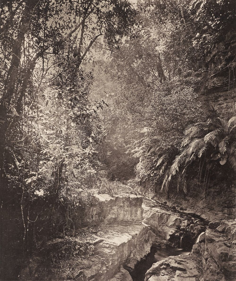 A Mountain Pass in the Island of Formosa by John Thomson