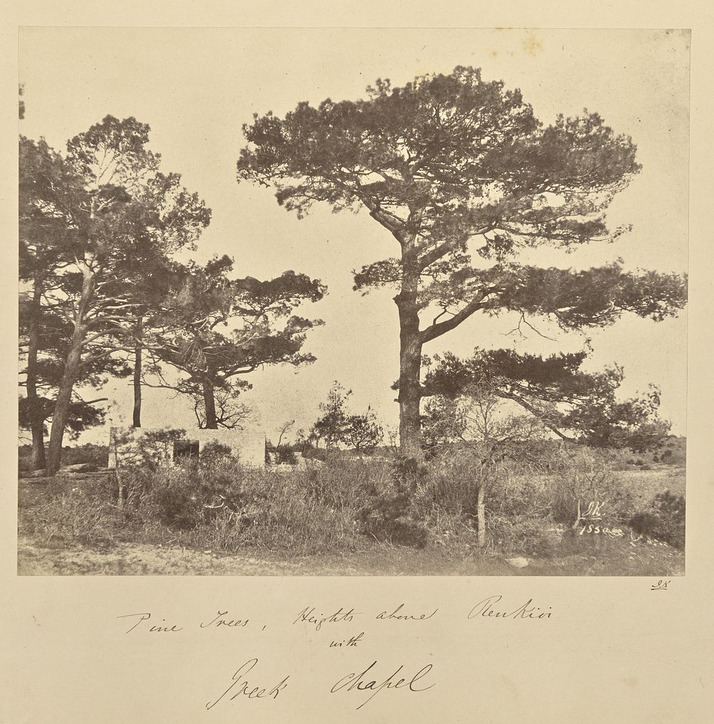 Pine Trees, Heights above Renkioi with Greek Chapel by John Kirk