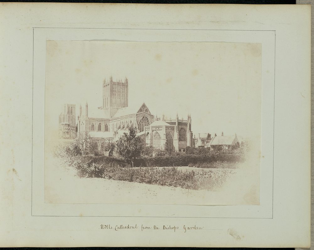 Wells Cathedral from the Bishop's Garden by John Wheeley Gough Gutch