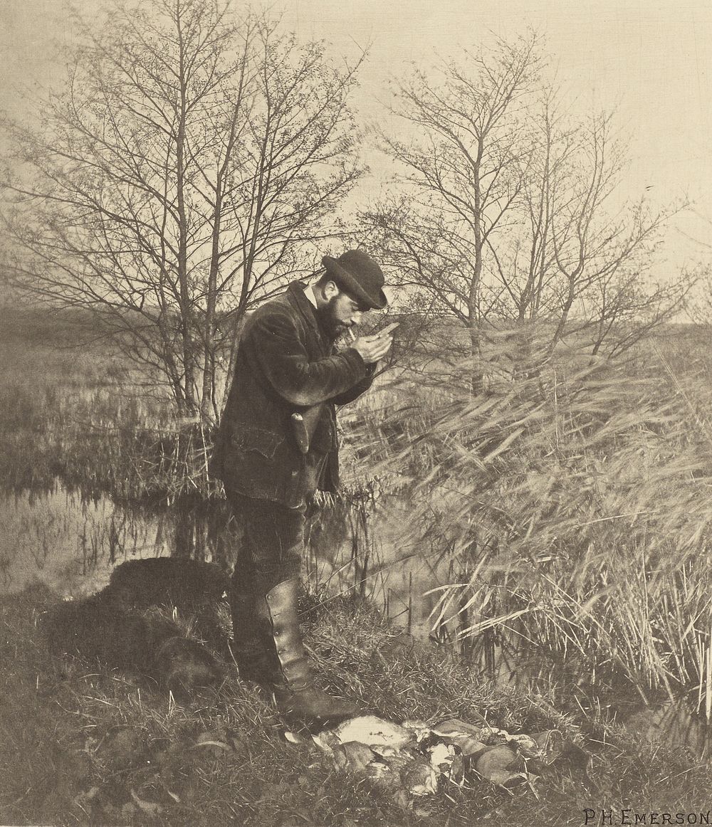 At the Covert Corner. [Norfolk.] by Peter Henry Emerson