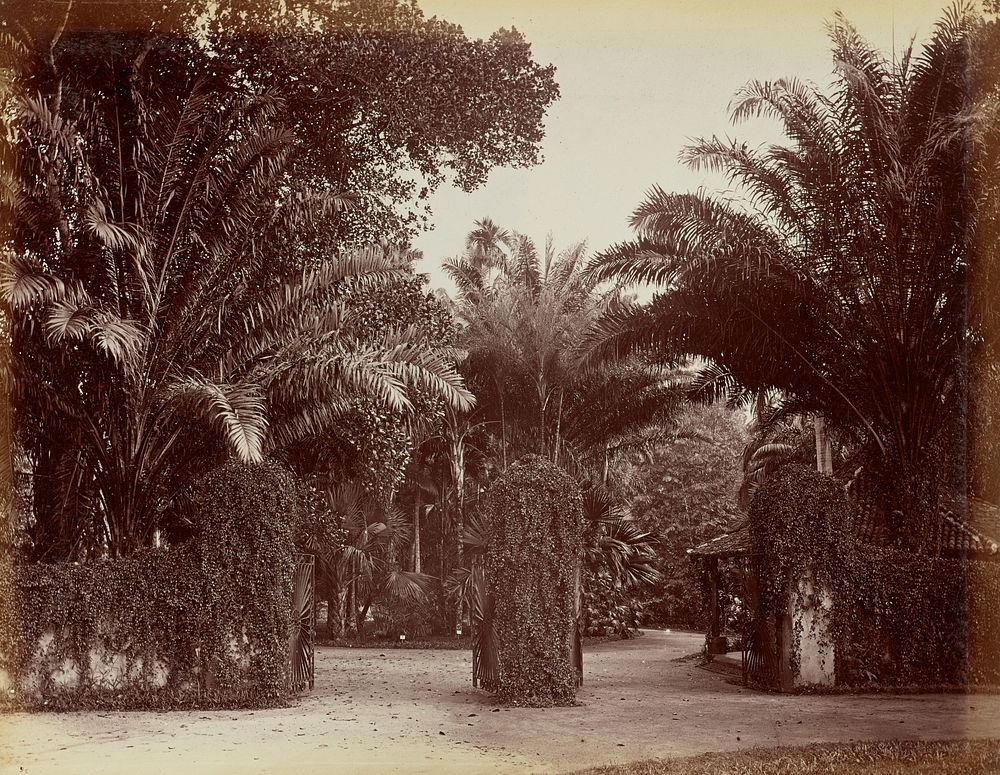Entrance of Perdonuyo Gardens