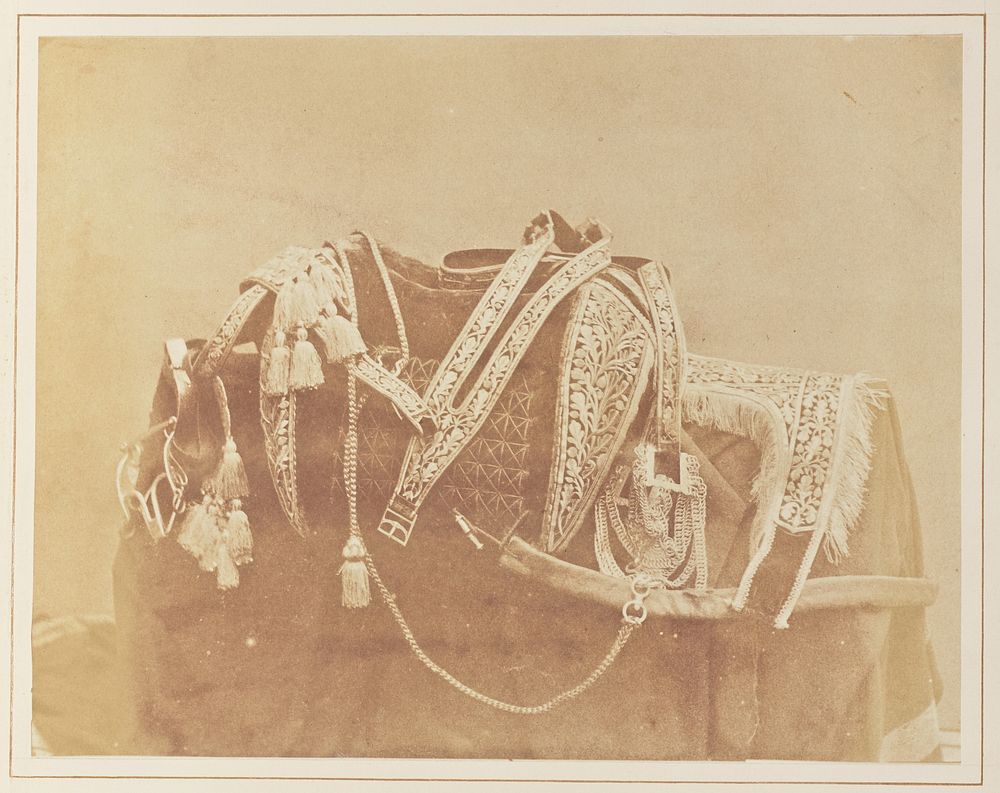 Tunisian Saddle by Hugh Owen