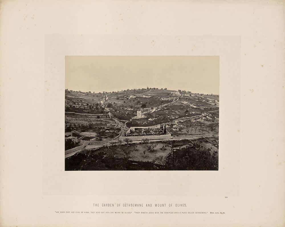 The Garden of Gethsemane and Mount of Olives by Francis Frith