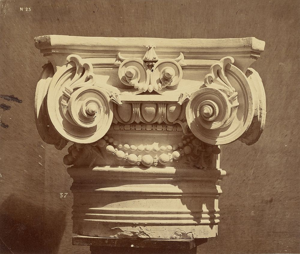 Chapiteau des colonnes du grand escalier. by Louis Émile Durandelle