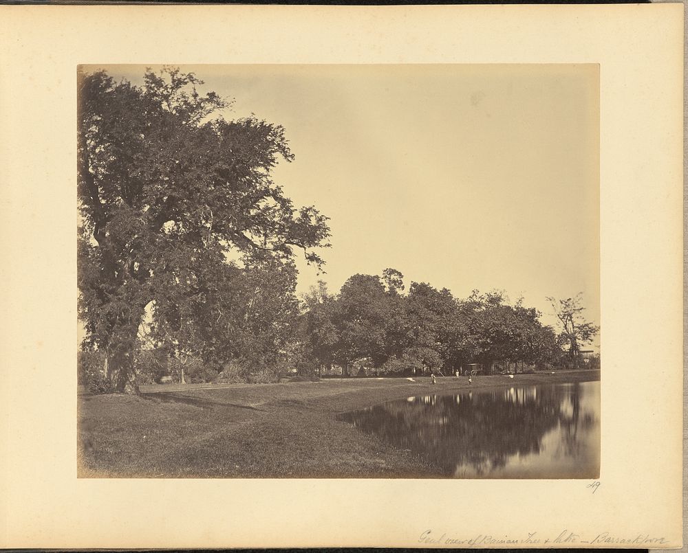 General View of Banian Tree and Lake - Barrackpore by John Edward Saché