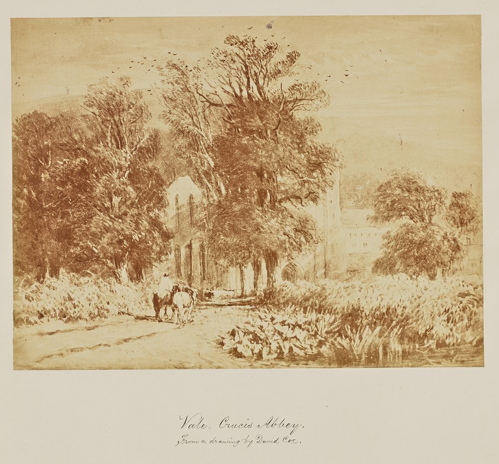 Vale. Crucis Abbey. From a drawing by David Cox.