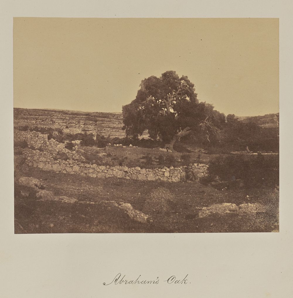 Abraham's Oak. by Reverend George Wilson Bridges