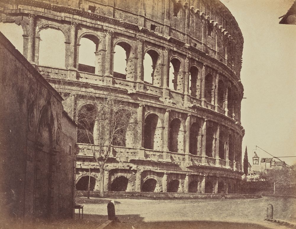 Colosseum, Rome by Jane Martha St John