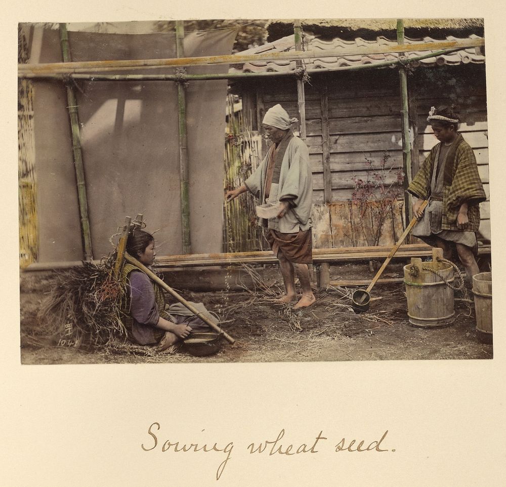 Sowing Wheat Seed by Shinichi Suzuki