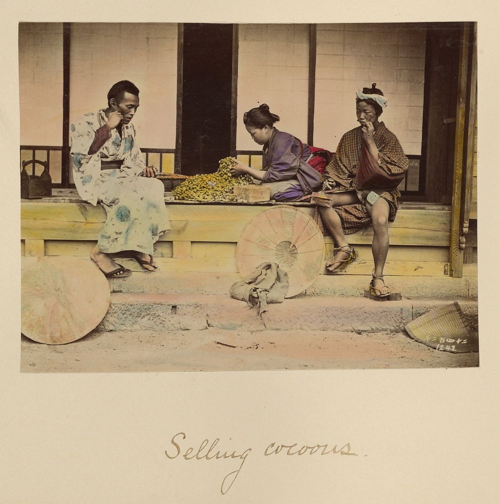 Selling Cocoons by Shinichi Suzuki