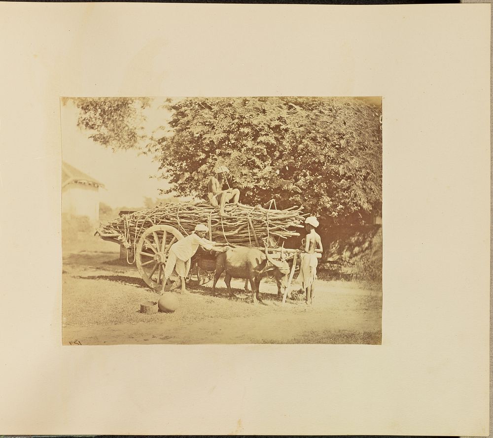 Wood Cart by Willoughby Wallace Hooper