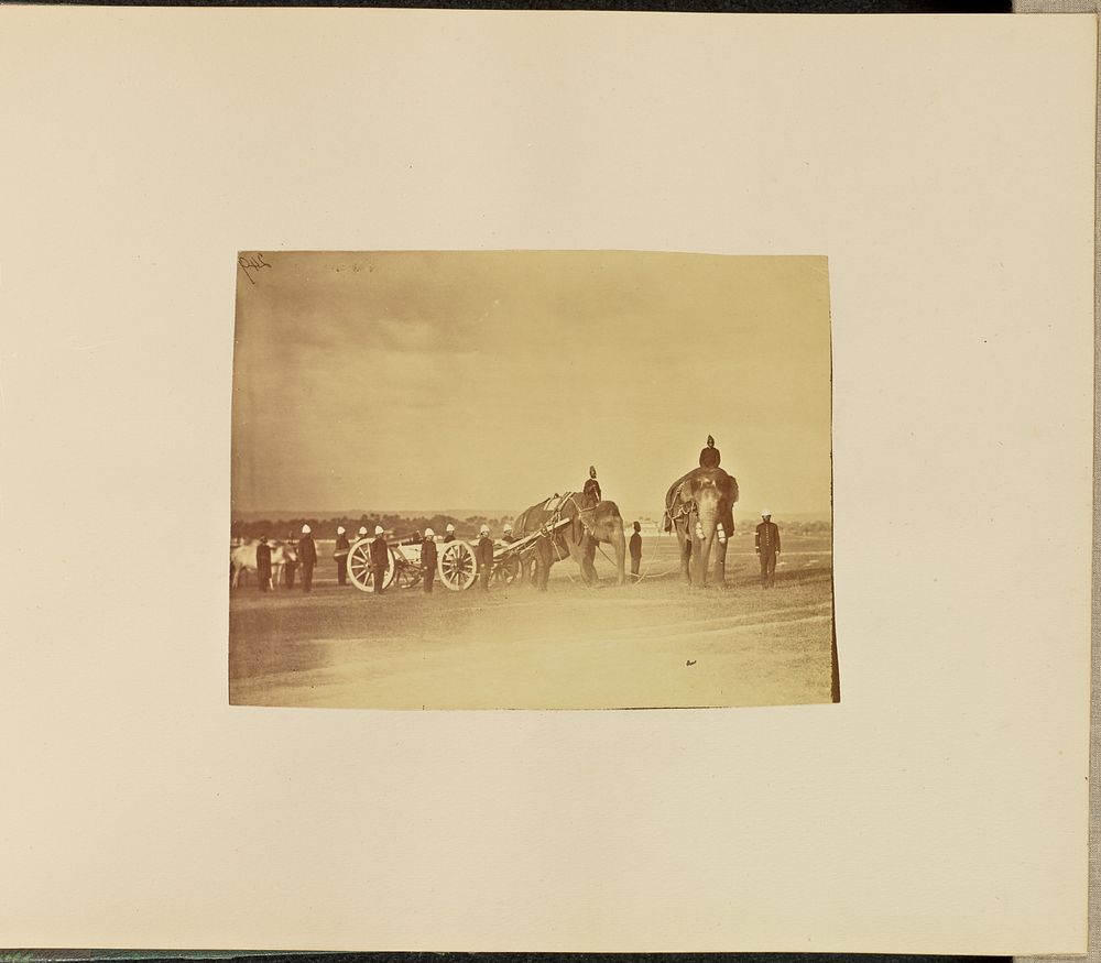 Military Personnel with Elephants by Willoughby Wallace Hooper