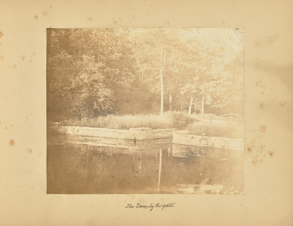 The Dam by the Gate by Alfred Booth and Thomas E Jevons