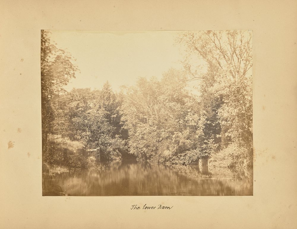 The Lower Dam by Alfred Booth and Thomas E Jevons