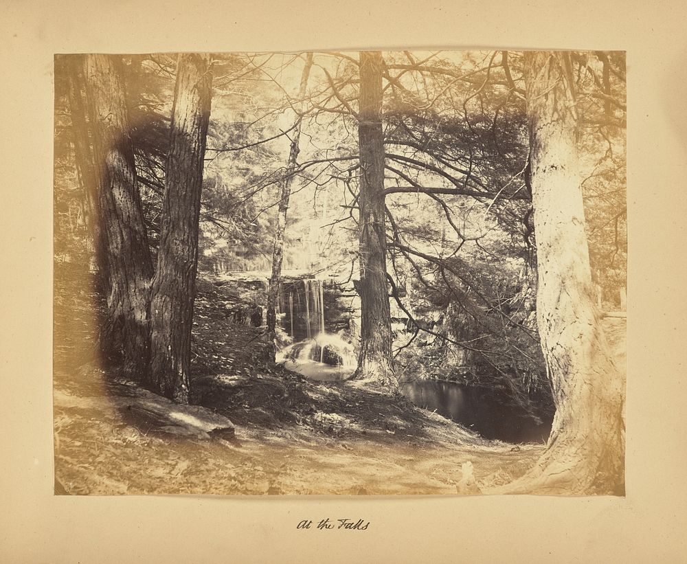 At the Falls by Alfred Booth and Thomas E Jevons