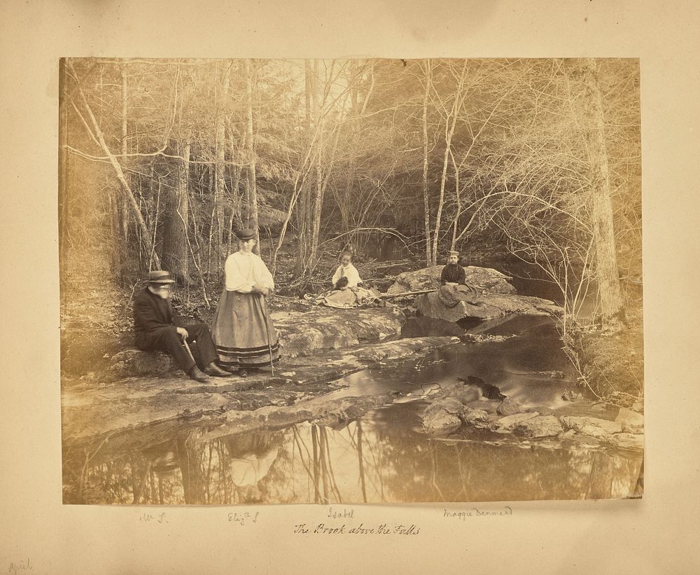 The Brook Above the Falls by Alfred Booth and Thomas E Jevons