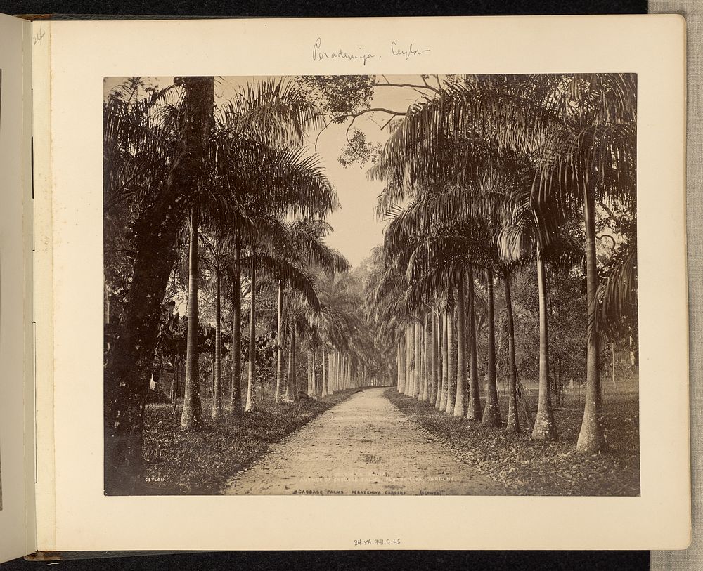 Peradeniya, Ceylon by Charles T Scowen and The Colombo Apothecaries Co  Ltd