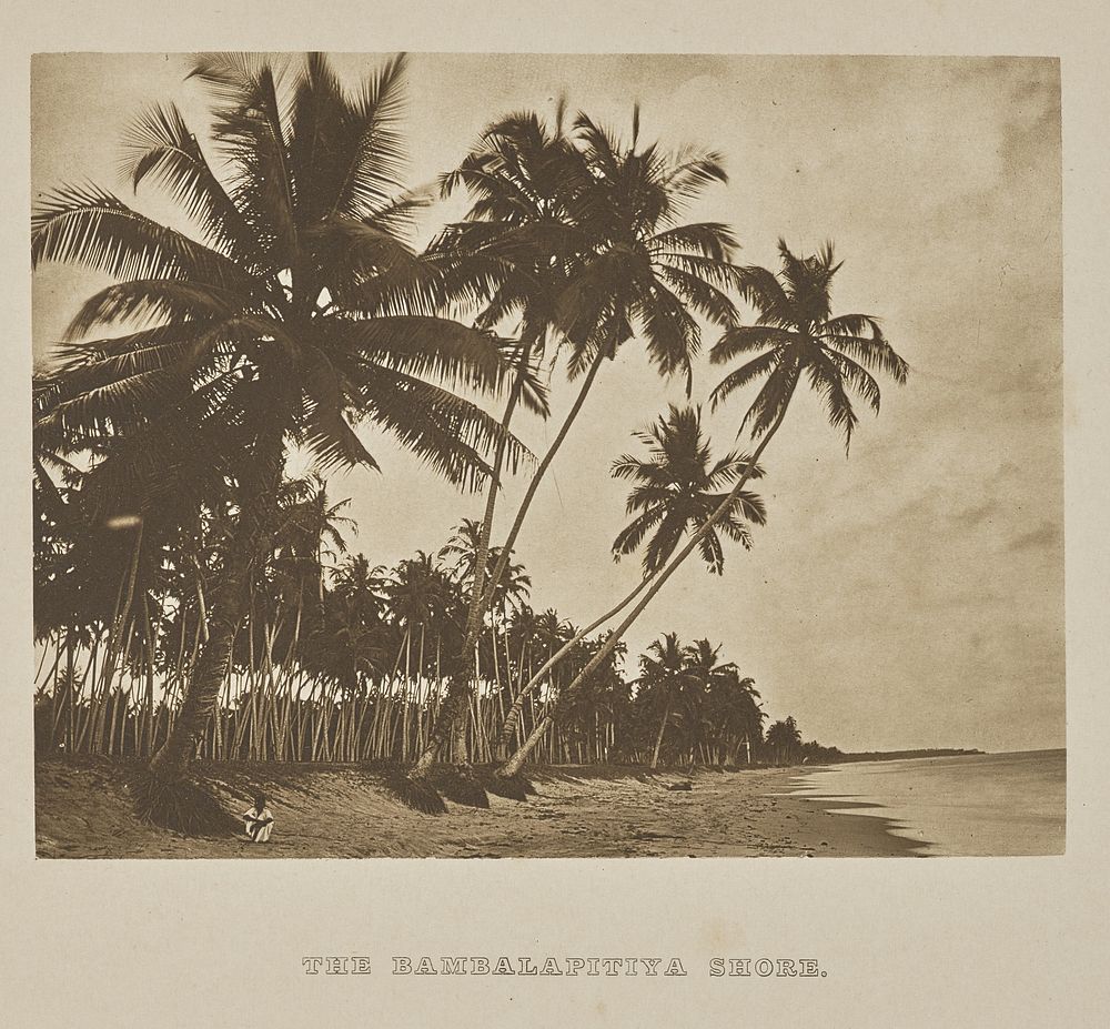 The Bambalapitiya Shore by Henry W Cave