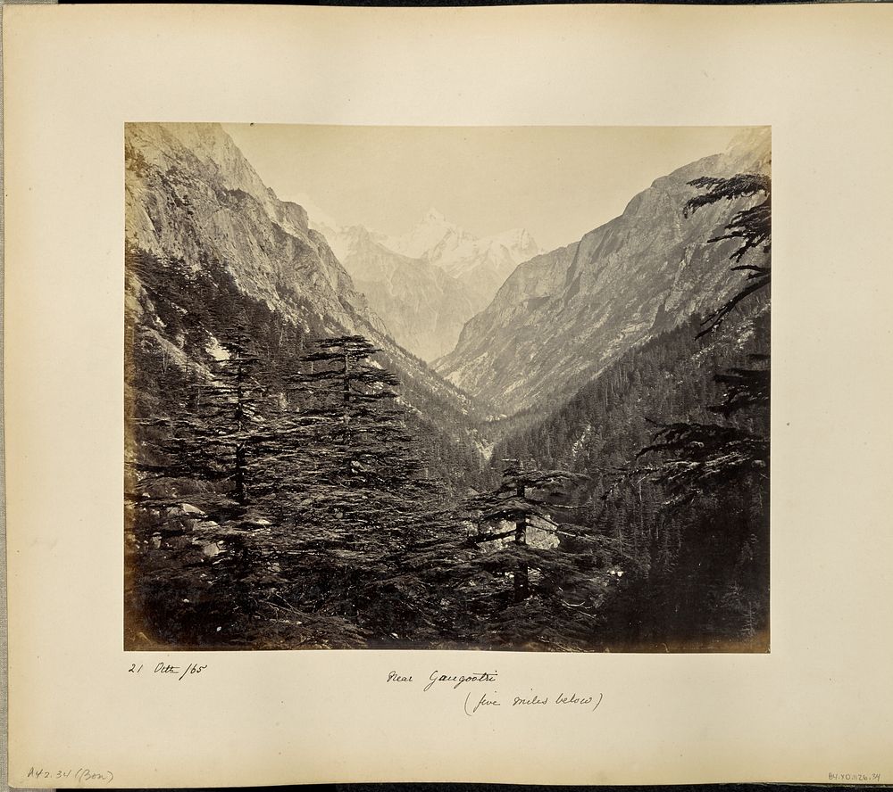 The Ganges Valley, five miles below Gangootri by Samuel Bourne