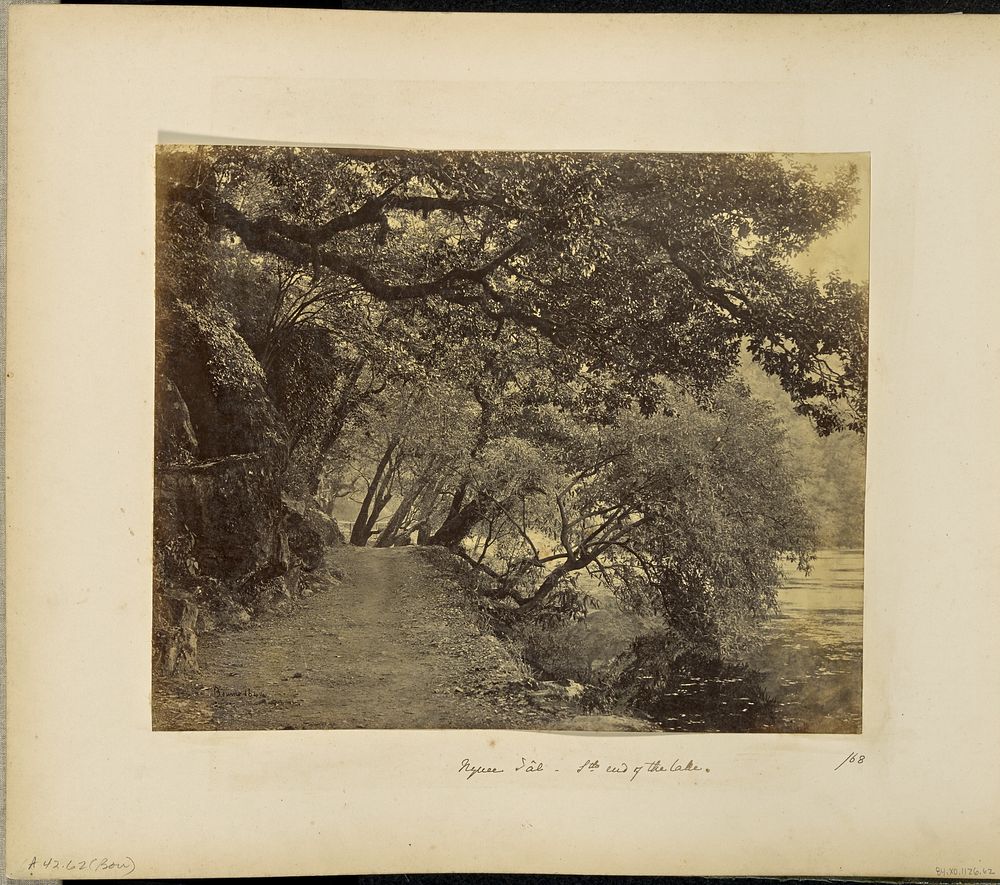 Nynee Tal; Willows and Rocks at the South end of the Lake by Samuel Bourne