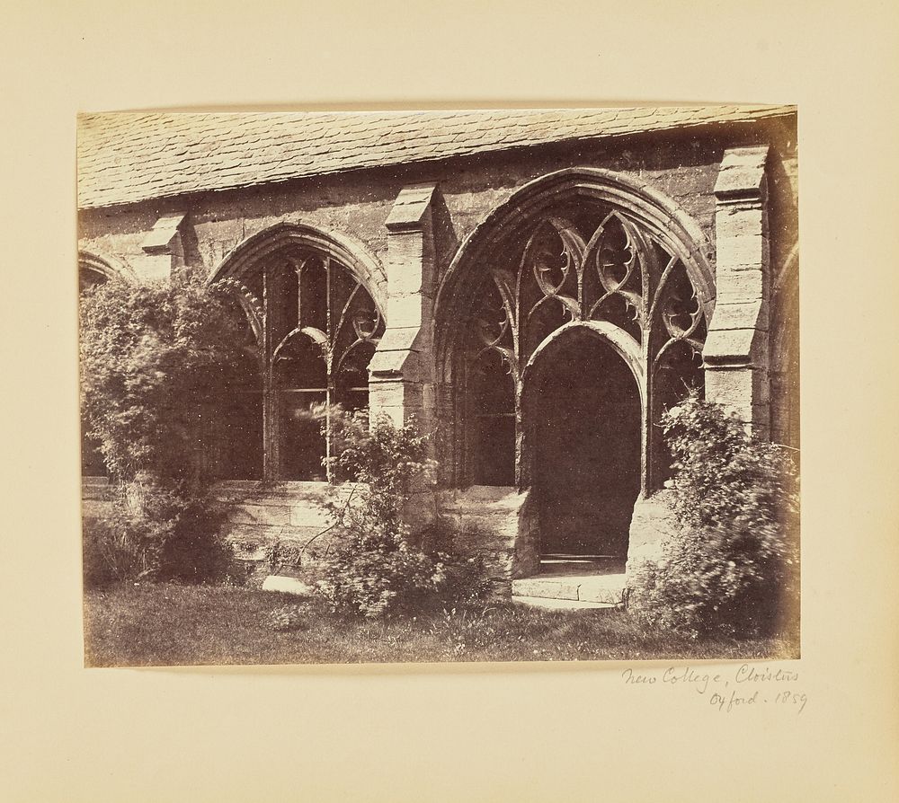 New College, Cloisters, Oxford by Alfred Capel Cure