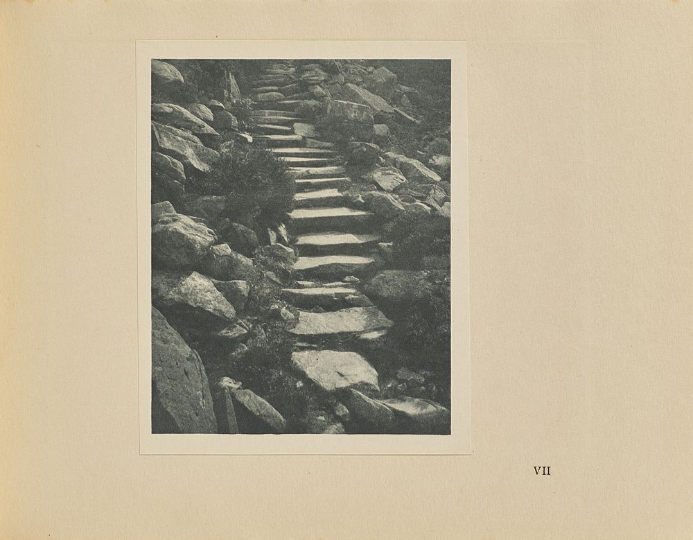 The Roman Steps by Alvin Langdon Coburn