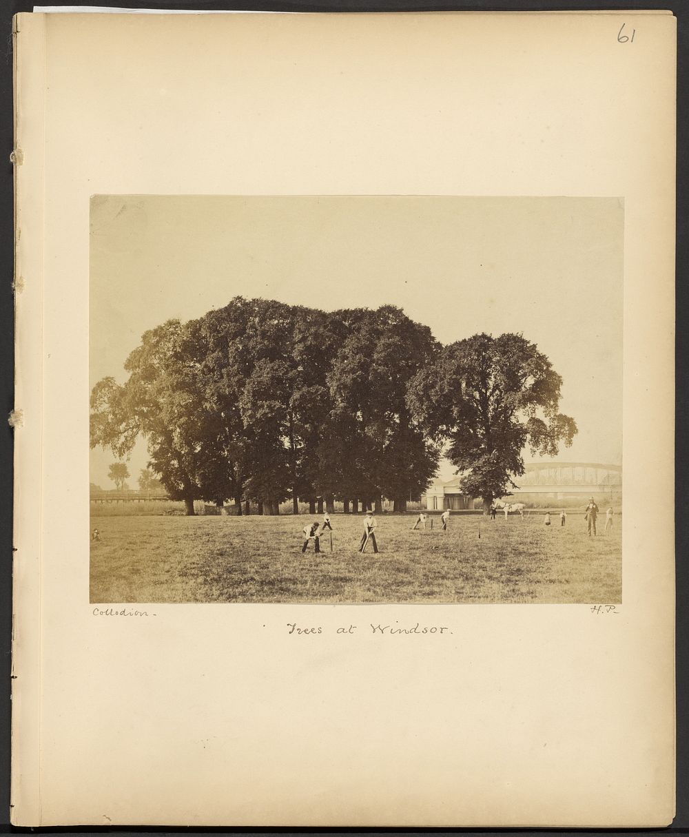 Trees at Windsor by Henry Pollock