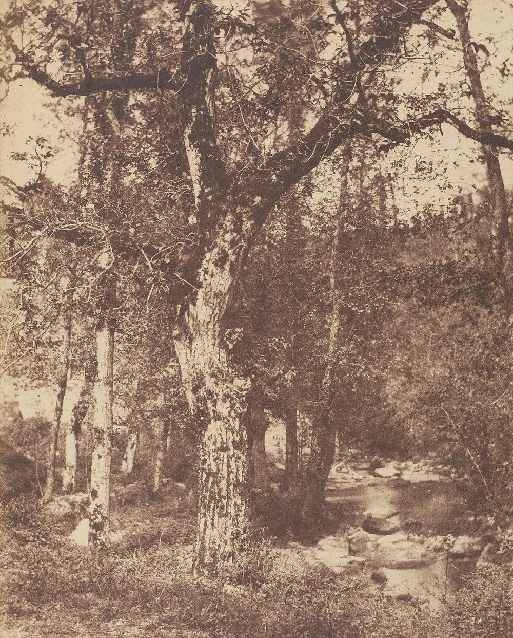 Wooded Landscape with Stream by John Stewart and Louis Désiré Blanquart Evrard