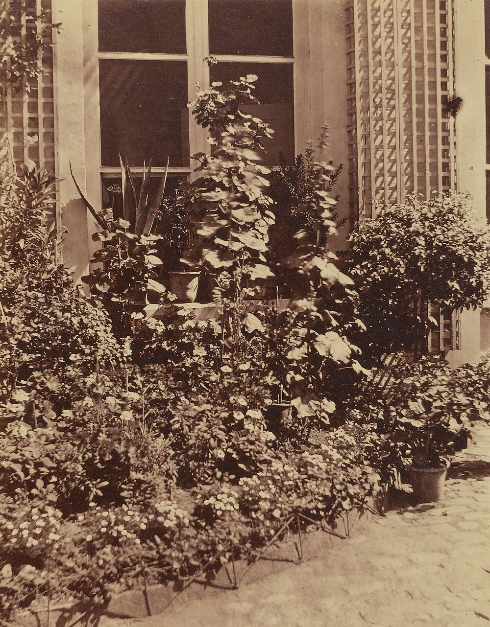 Potted Plants and Flowers on Garden Patio by Louis Désiré Blanquart Evrard