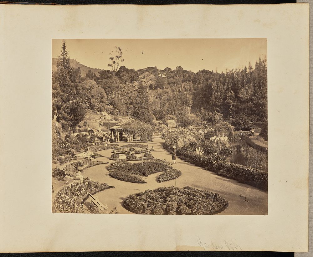 Gardens Ooty by A T W Penn and Nicholas and Co