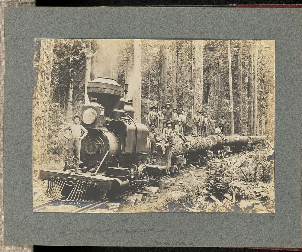 Logging Train by J F Ford