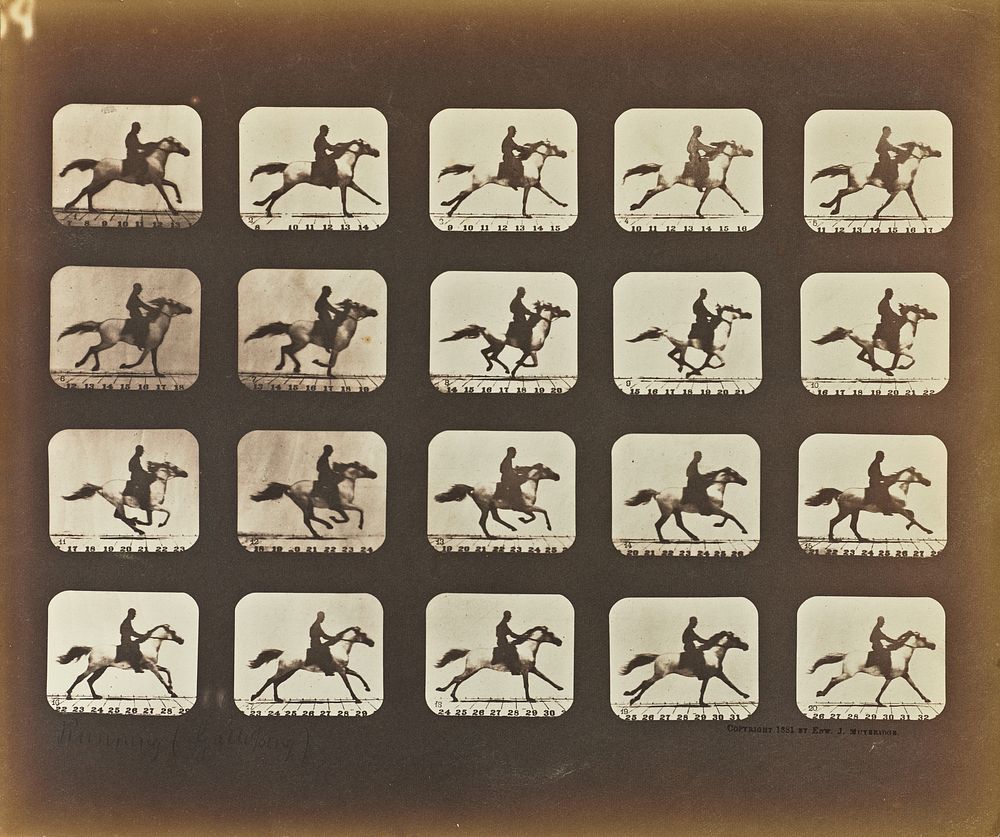 Running (Galloping) by Eadweard J Muybridge