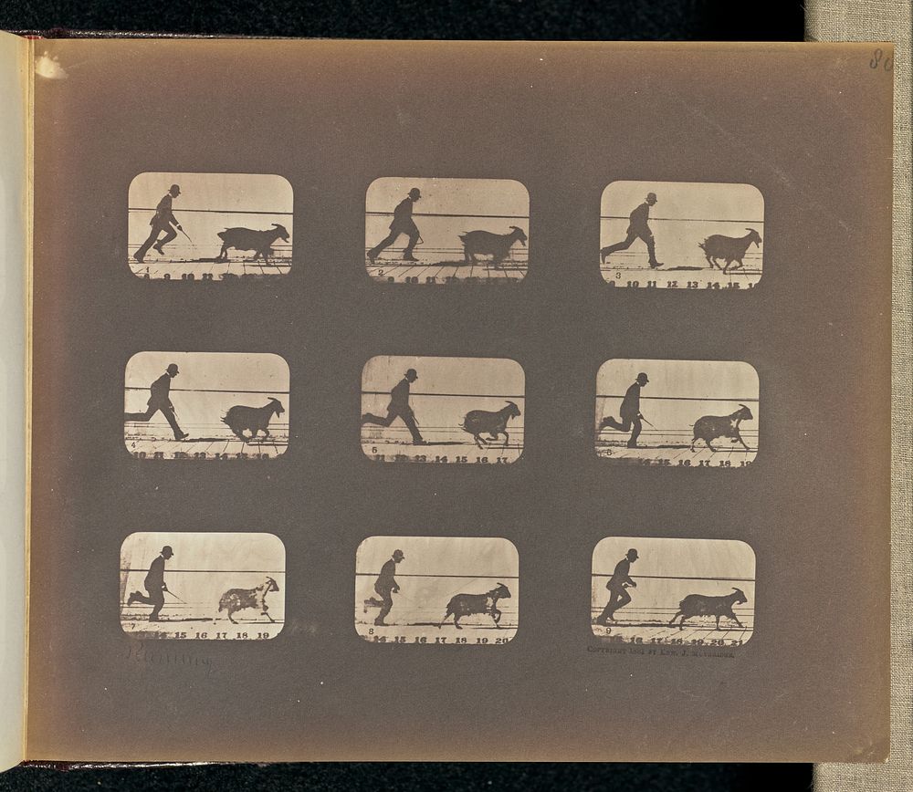 Running by Eadweard J Muybridge